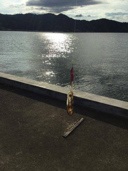 サビキMyブーム