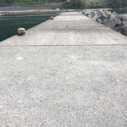 サビキで豆アジ