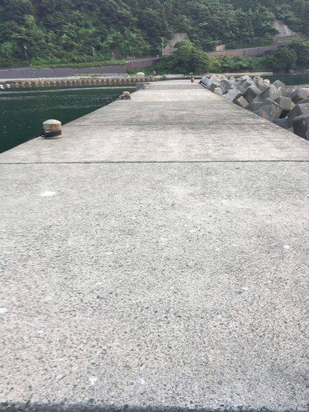 サビキで豆アジ