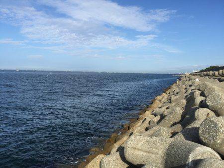 タコにもジアイがあるの？