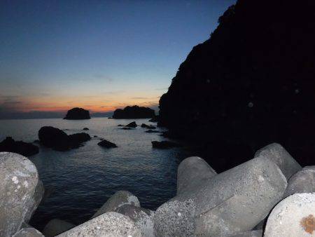 ガシラ調査‼️