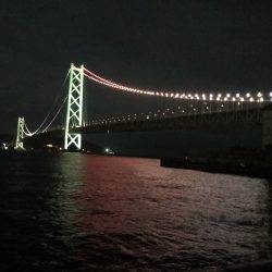 台風前ケンサキ調査