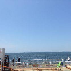 ファミリーサビキ釣り