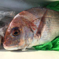 オフショアゲーム