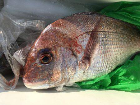 オフショアゲーム