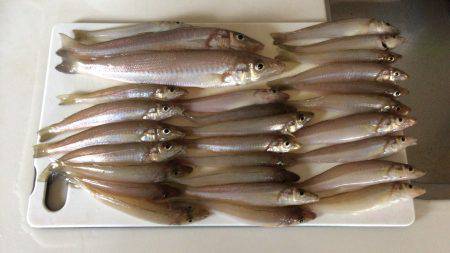 浜から投げキス