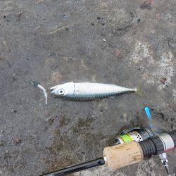 恐るべし自衛隊堤防