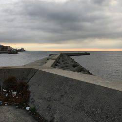 夏タチ絶好調!??