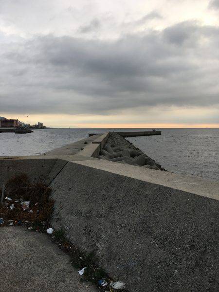 夏タチ絶好調!??