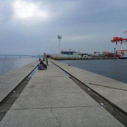 ライトワインド釣行