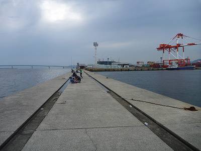 ライトワインド釣行