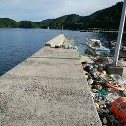 シーバッシング 穴釣り