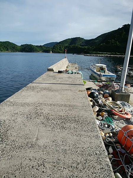 シーバッシング 穴釣り