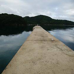 トップウォーター 1キャッチ2バイト3ミスバイト