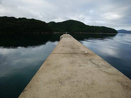 トップウォーター 1キャッチ2バイト3ミスバイト