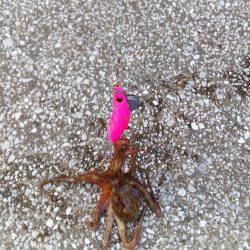 とにかく暑かった❗