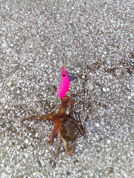 とにかく暑かった❗