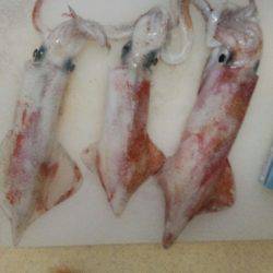 ケンサキサイズup！