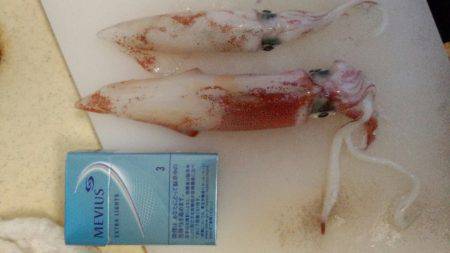 太刀魚が邪魔して！