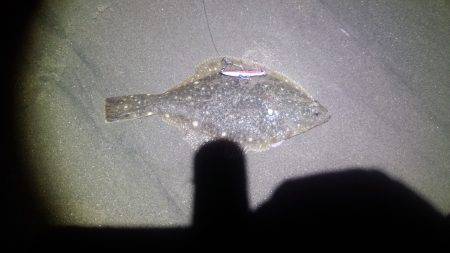 激熱!河芸サーフ