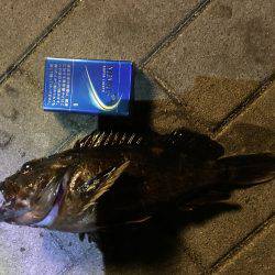 南港コスモスクエア