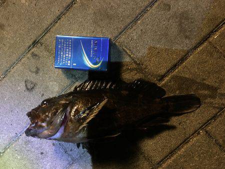 南港コスモスクエア