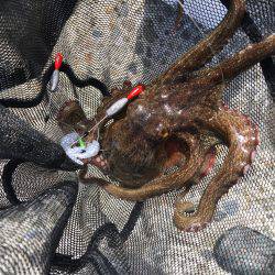 デイオクトパッシング