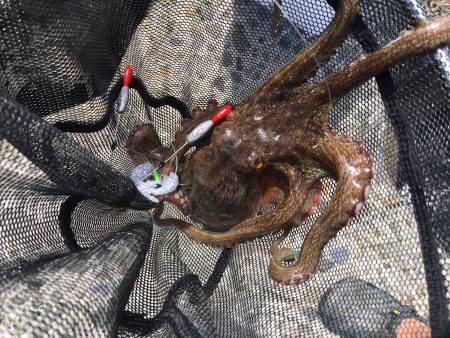 デイオクトパッシング