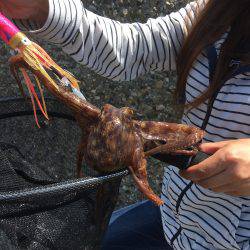 デイオクトパッシング2