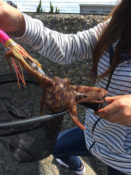 デイオクトパッシング2