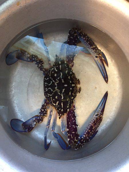 まさかの〇〇？