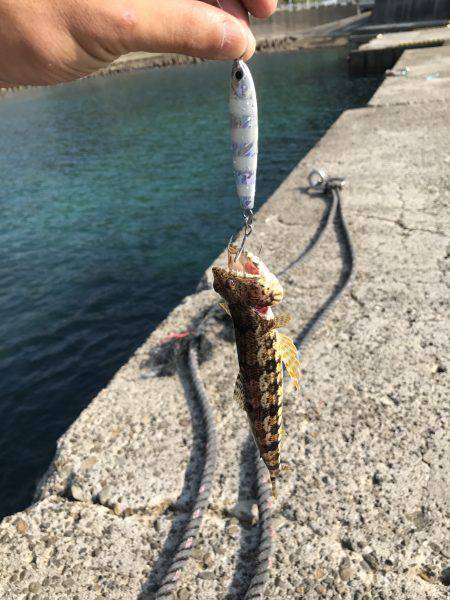 メタルジグでゲット！