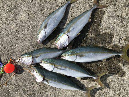 ツバスラッシュ