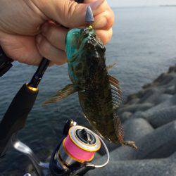 ツバス連敗中…