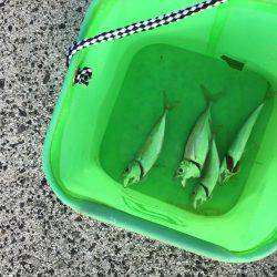 ランガン＆サビキ