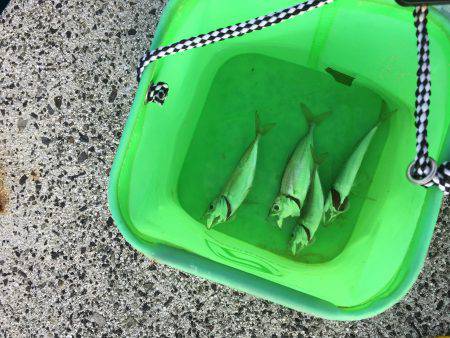 ランガン＆サビキ