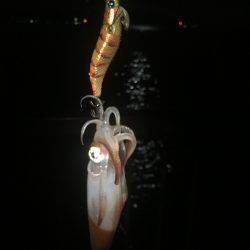 台風が来る前に