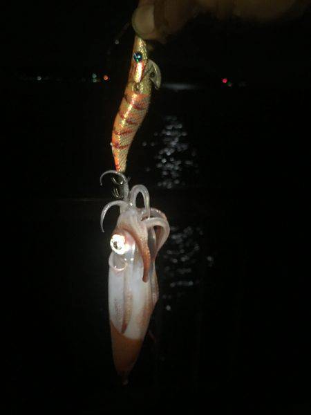 台風が来る前に