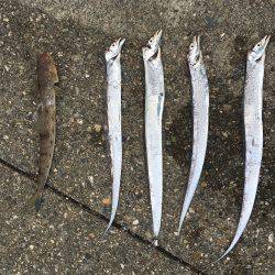 ナブラ神やっさ〜