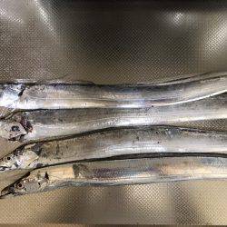 テンヤ一人勝ち