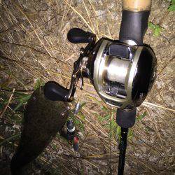 スリル満点の夜遊び