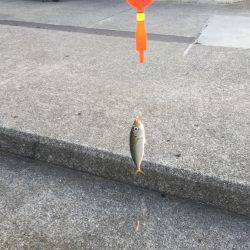 夏休み最後の釣行！