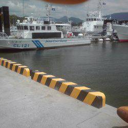 外道　ゴンズイ多い