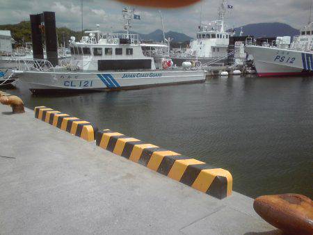 外道　ゴンズイ多い