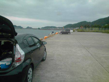 新宮港は小サバばかり