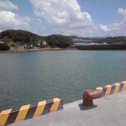 豆アジとワタリガニ