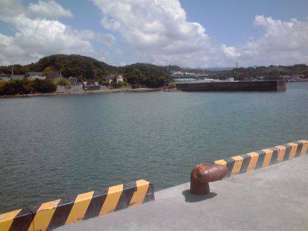 豆アジとワタリガニ