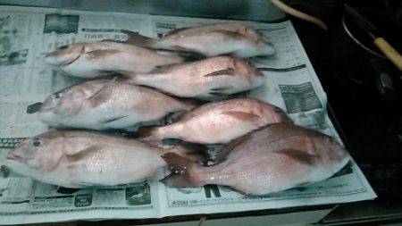 海上釣り堀レインボーでヒラマサ、カンパチ狙…