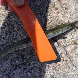 ファミリーフィッシング！