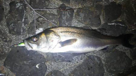 増水気味の猪名川